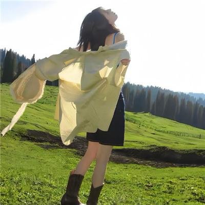 森林 海报